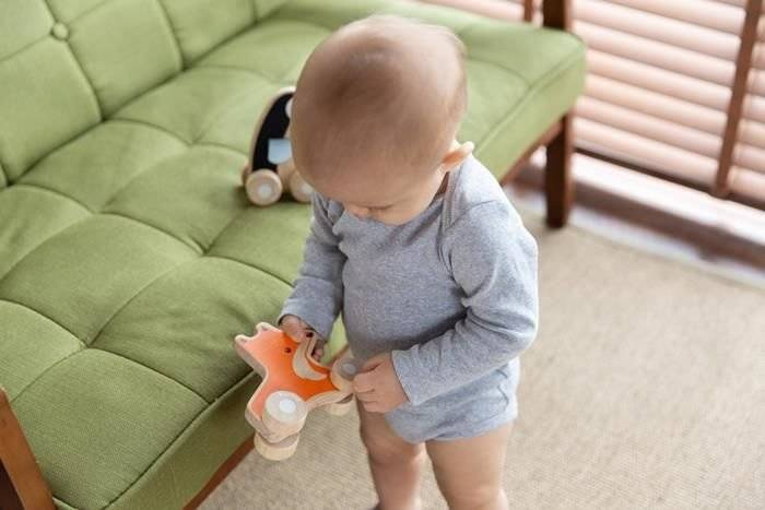 Pojazd do zabawy, Lisek na kółkach , Plan Toys 5445