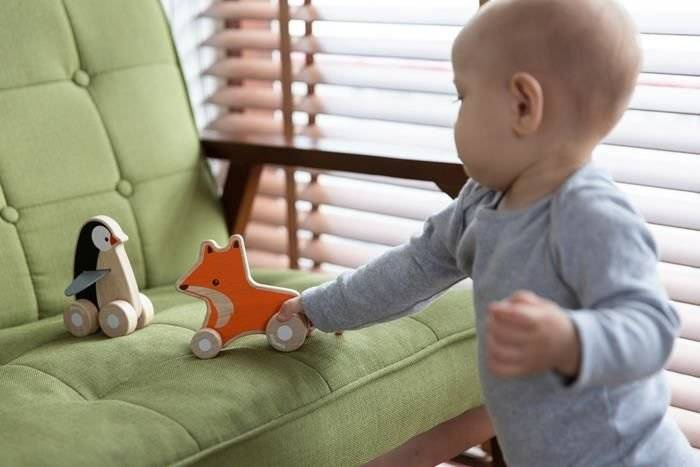 Pojazd do zabawy, Lisek na kółkach , Plan Toys 5445