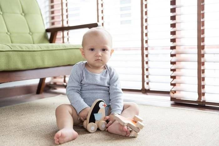 Pojazd do zabawy, Pingwin na kółkach , Plan Toys 5444