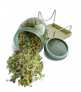 Słoik do kiełkowania GEO, kiełkownica, Bavicchi