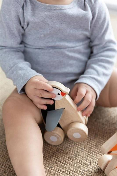 Pojazd do zabawy, Pingwin na kółkach , Plan Toys 5444