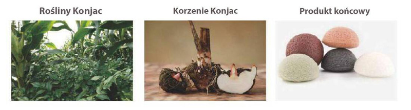 Gąbka Konjac do twarzy, z Kolagenem, aż 6,3 - 8 cm średnicy, Bebevisa