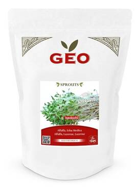 Lucerna - nasiona na kiełki GEO, certyfikowane, DUŻE OPAKOWANIE, 500g, Bavicchi (ZER0209)