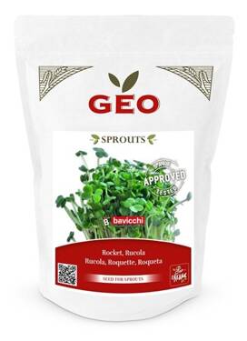 Rukola - nasiona na kiełki GEO, certyfikowane, DUŻE OPAKOWANIE, 300g, Bavicchi (ZRU0208)