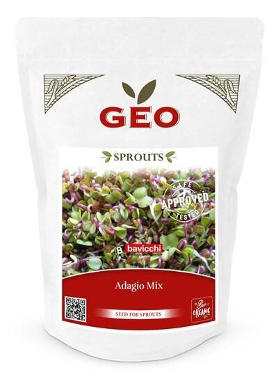 Adagio - mix nasion na kiełki GEO, certyfikowane, 400g, Bavicchi (ZMI0608)