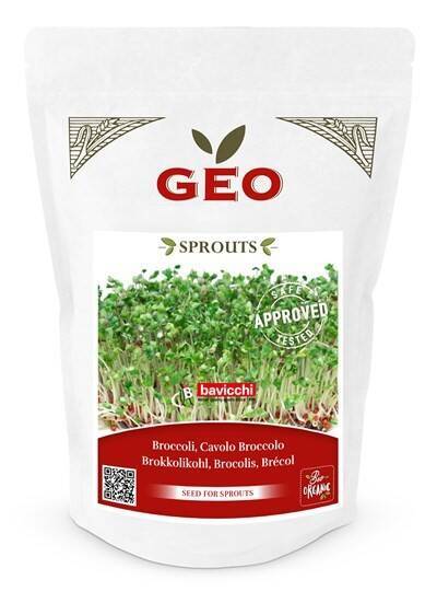 Brokuły - nasiona na kiełki GEO, certyfikowane, DUŻE OPAKOWANIE, 300g, Bavicchi (VCB0508)