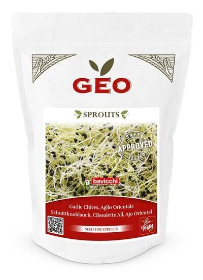 Czosnek - nasiona na kiełki GEO, certyfikowane, DUŻE OPAKOWANIE, 150g, Bavicchi (ZAG0508)