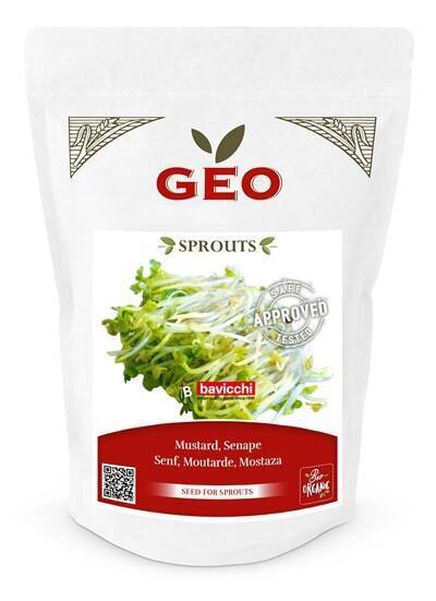 Gorczyca - nasiona na kiełki GEO, certyfikowane, DUŻE OPAKOWANIE, 300g, Bavicchi (ZSE0108)