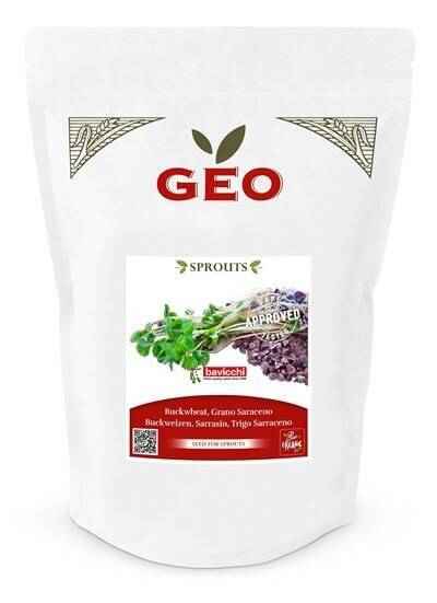 Gryka - nasiona na kiełki GEO, certyfikowane, DUŻE OPAKOWANIE, 500g, Bavicchi (ZGS0109)