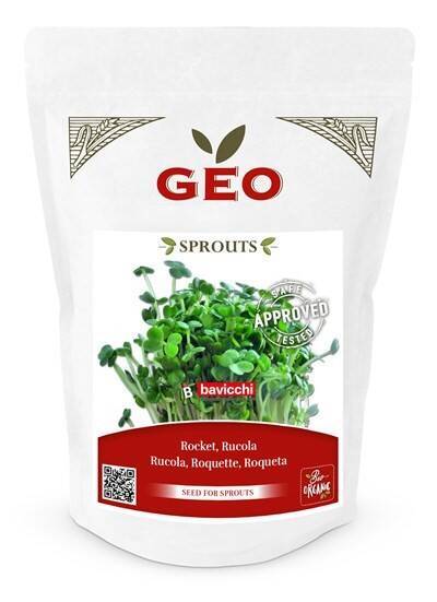 Rukola - nasiona na kiełki GEO, certyfikowane, DUŻE OPAKOWANIE, 300g, Bavicchi (ZRU0208)